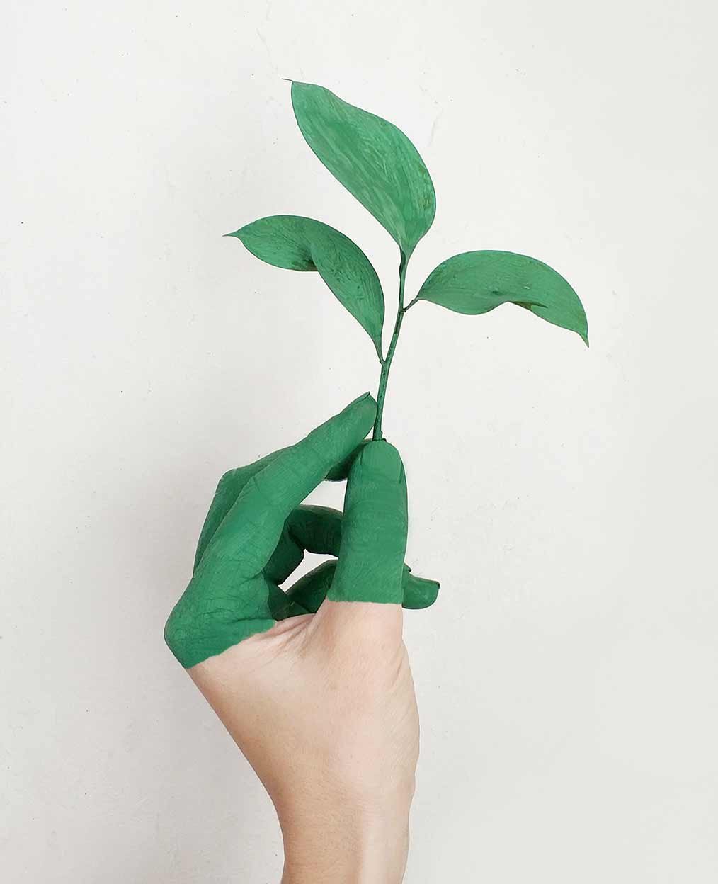 The Pros and Cons Of Renewable Energy A hand holding a sprig of plants with fingers painted green to match the plant.